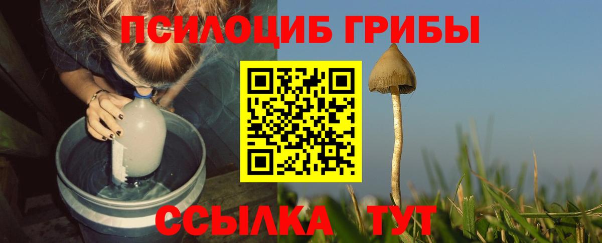 Галлюциногенные грибы мицелий  Вход с VPN  Галлюциногенные грибы прущие грибы  как найти наркотики  Ефремов 